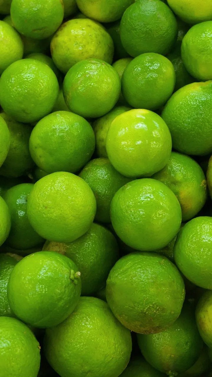 Green Lemons Wallpaper