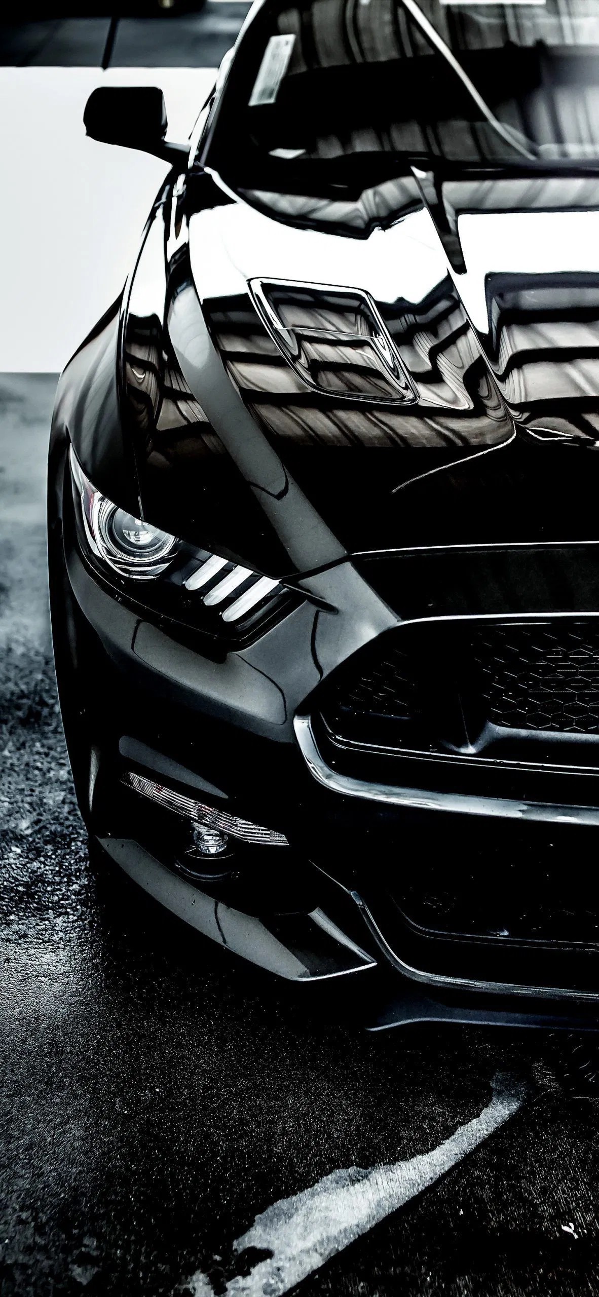 Discover 63+ black mustang wallpaper best in.cdgdbentre