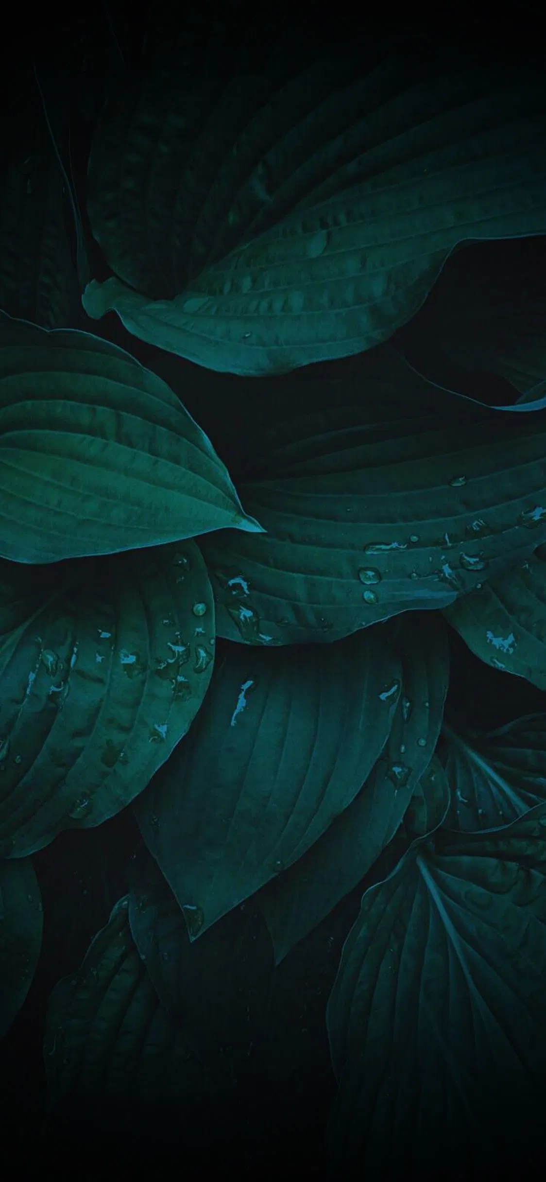 Aggregate 56+ dark green leaves wallpaper best in.cdgdbentre