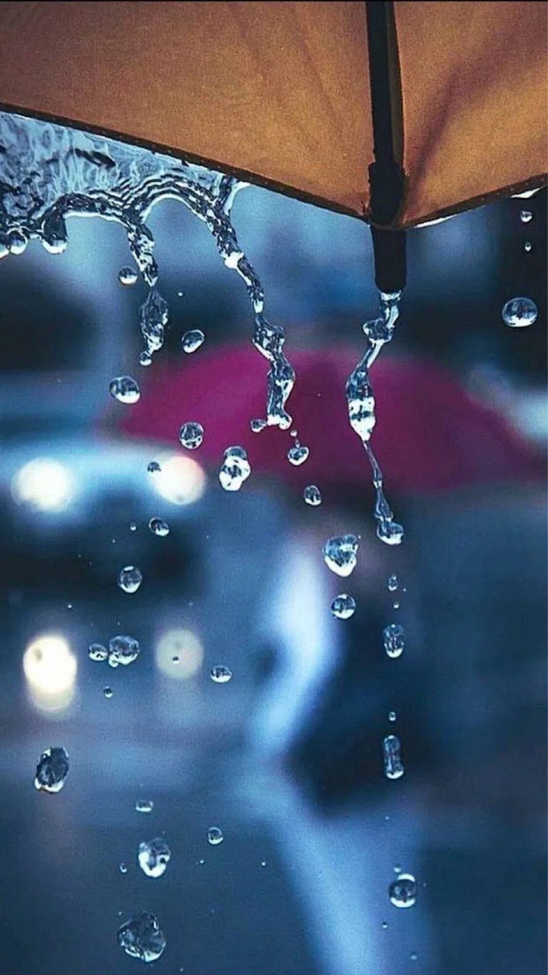 Rain Wallpapers Download MobCup