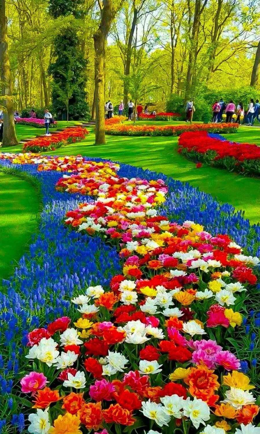 Flower Garden Wallpapers For Phone Best Flower Site