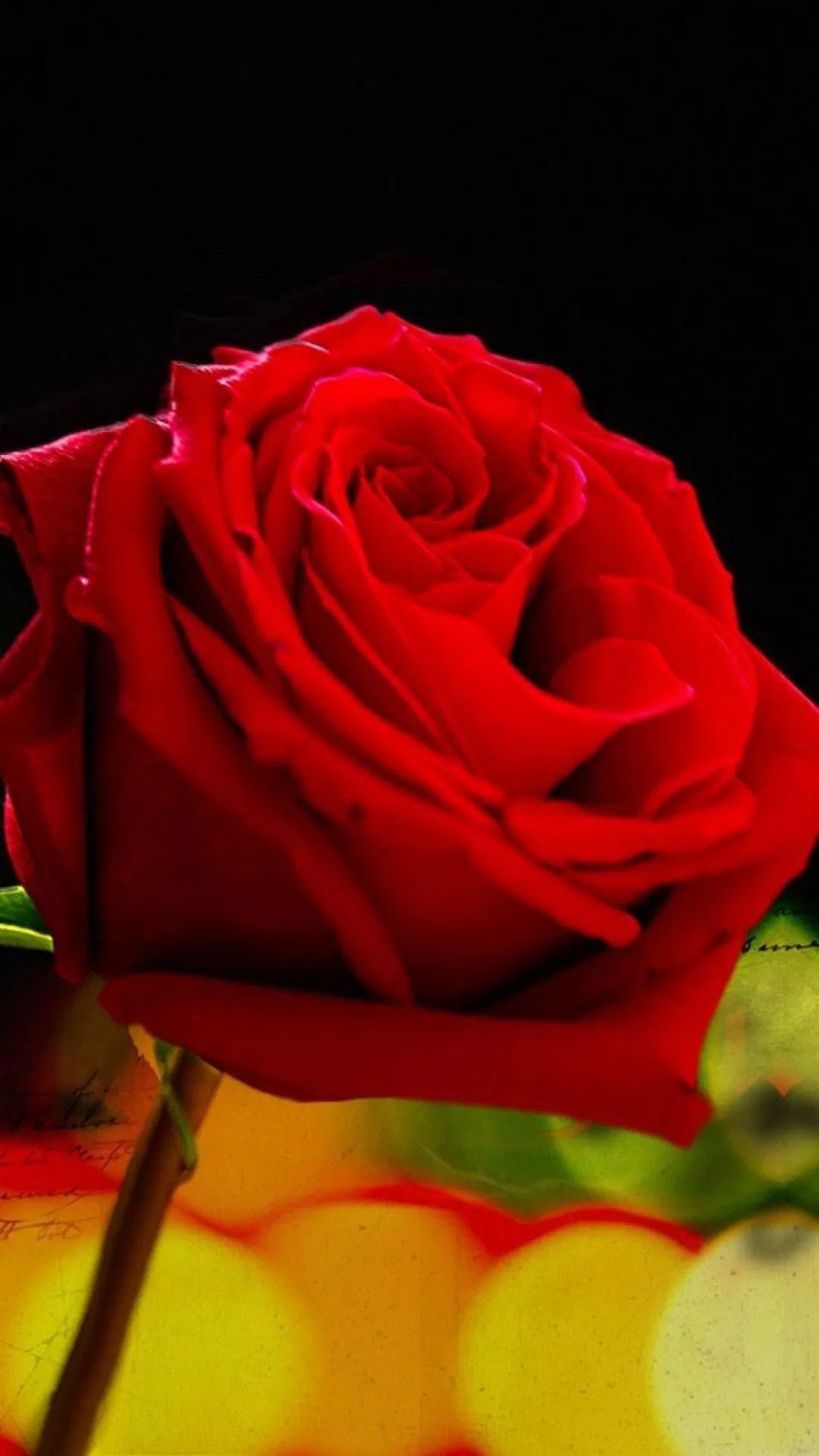 Rose Flower Wallpaper For Mobile Hd Best Flower Site