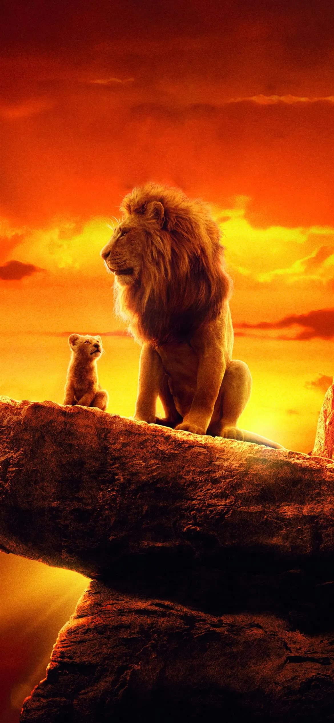 Lion King Background