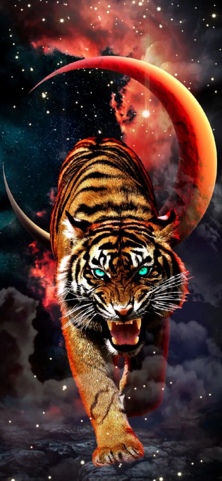 Galaxy Tiger Wallpaper