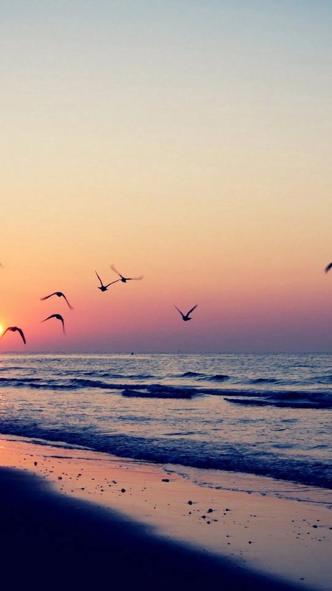 Aggregate 73+ sunset wallpaper iphone 7 latest 3tdesign.edu.vn