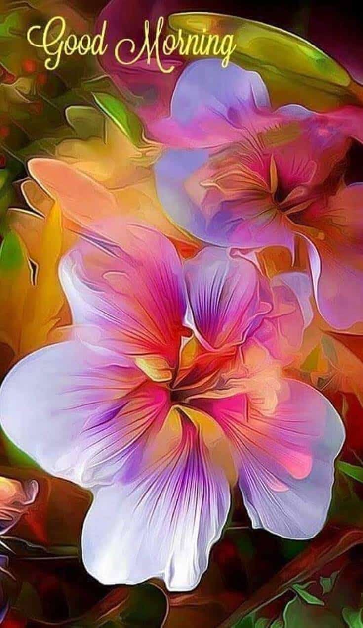 Best Good Morning Flower Wallpaper Best Flower Site