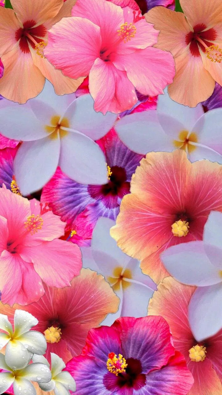 Bright Flowers Background Best Flower Site