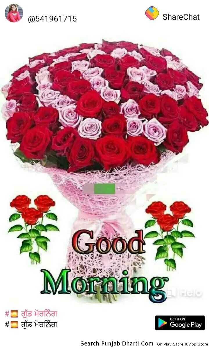 Red Roses Wallpaper Download MobCup