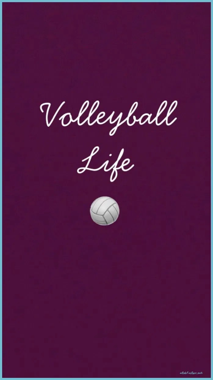 Volleyball Wallpaper Download MobCup