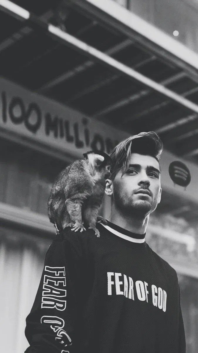 Zayn Malik Black And White Wallpaper