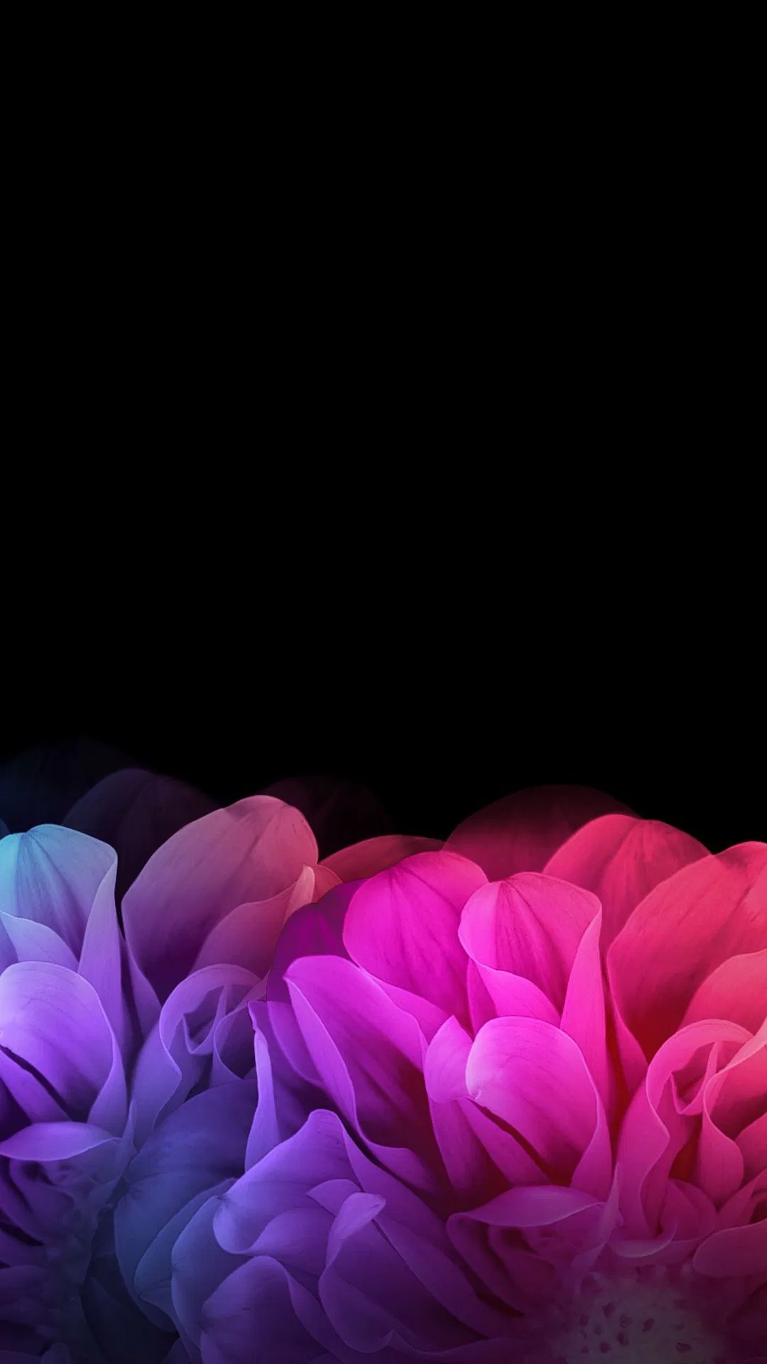 Black And Pink Flower Desktop Wallpaper Best Flower Site