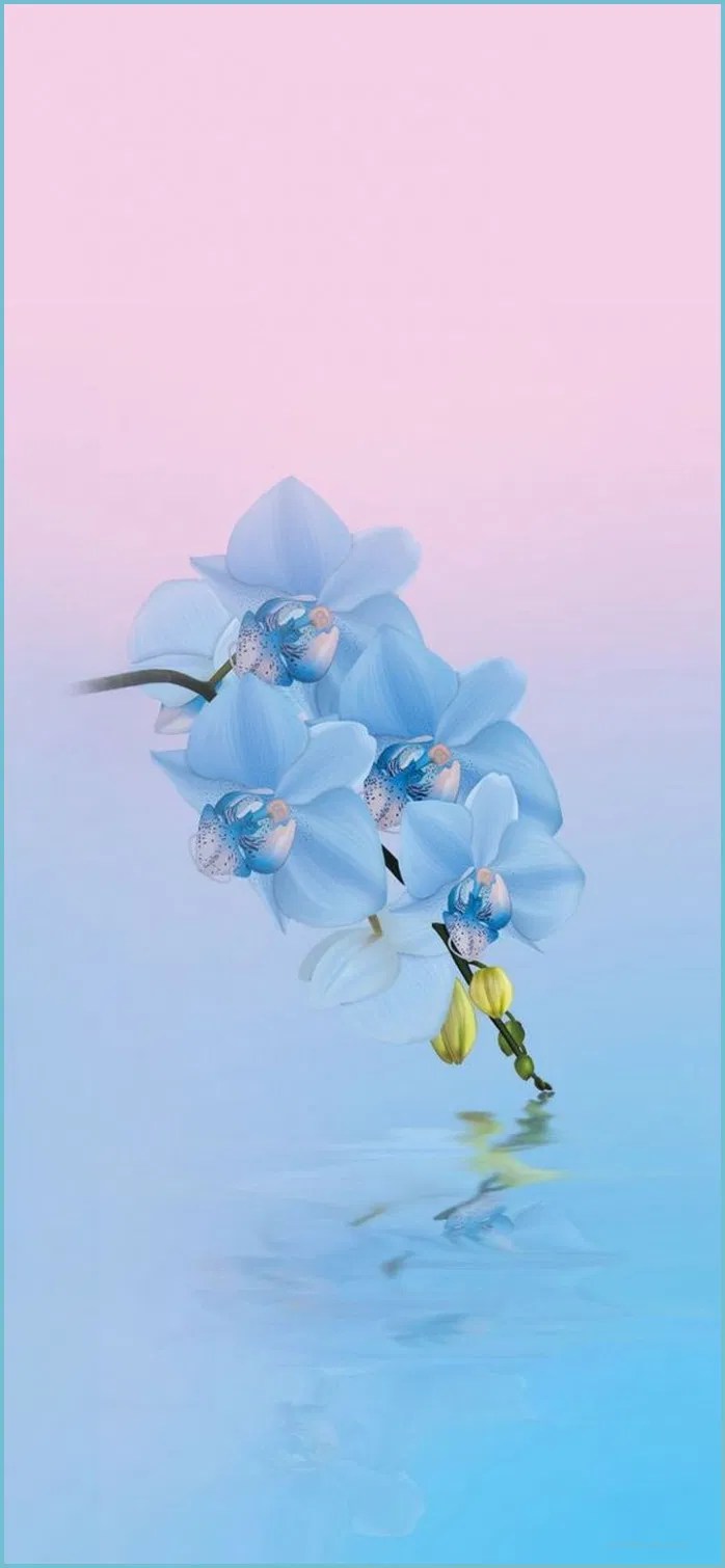 Blue Orchid Wallpaper