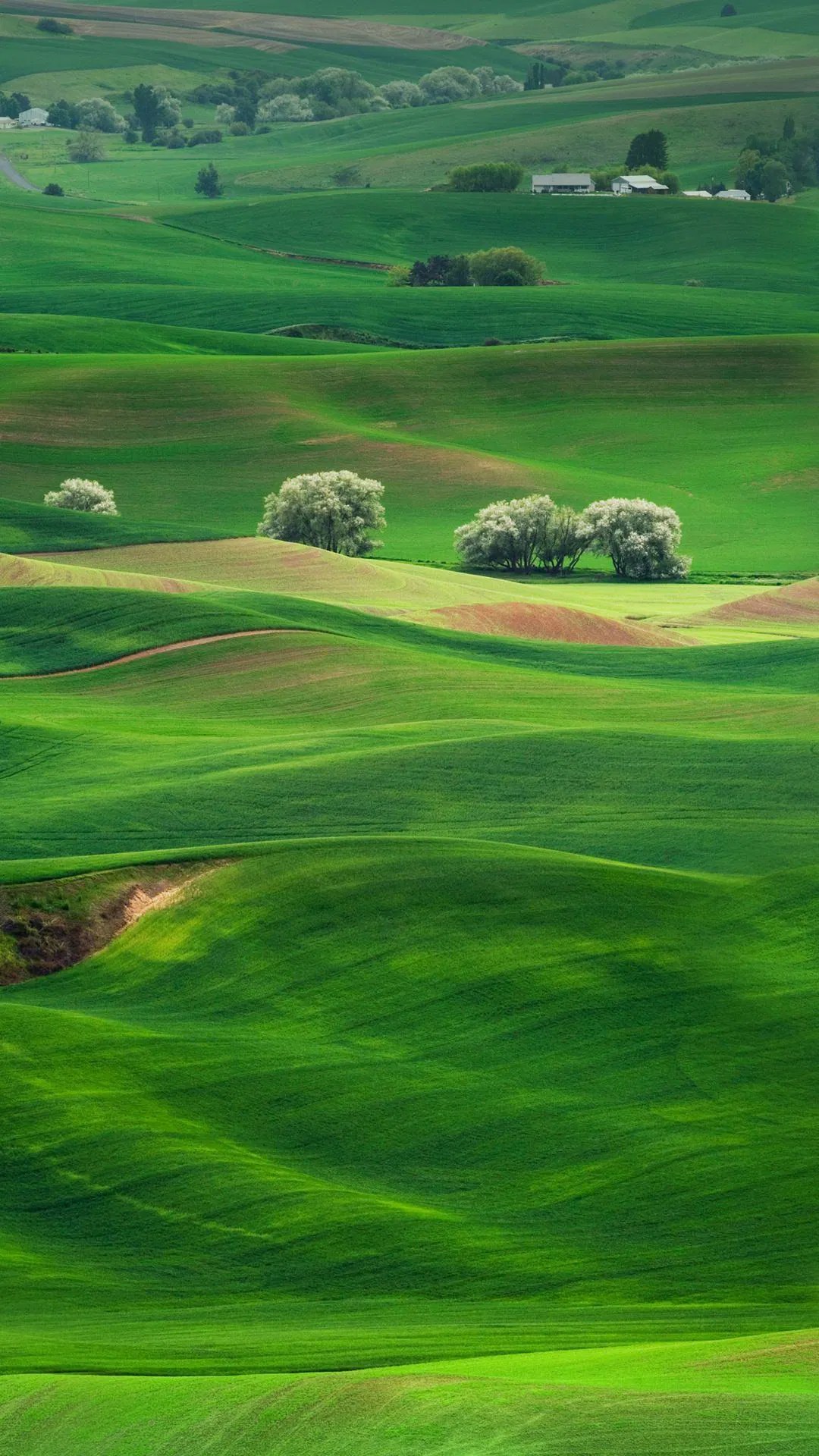 Green hills Wallpapers Download MobCup