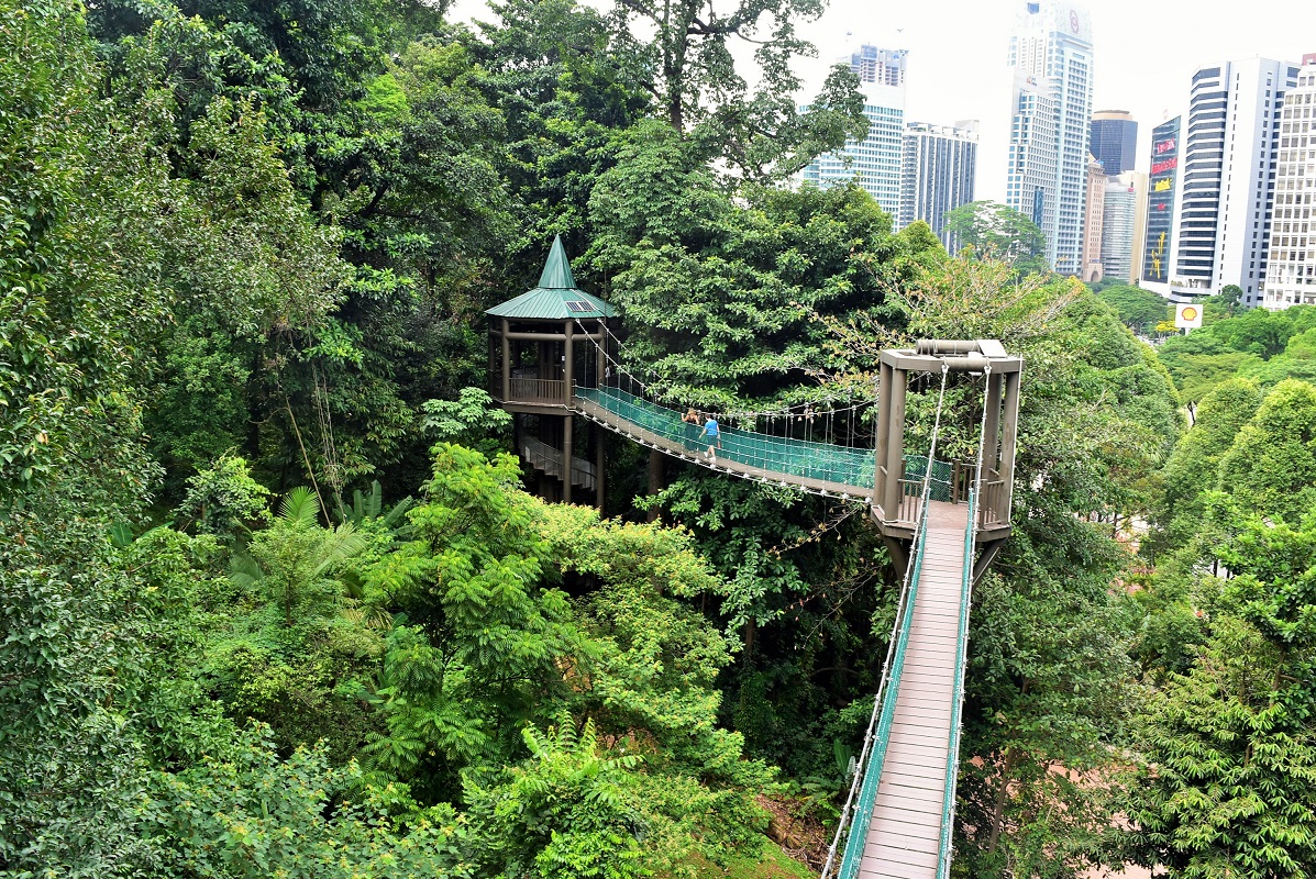 The Ultimate Guide 13 Fun & Free Things To Do in KL