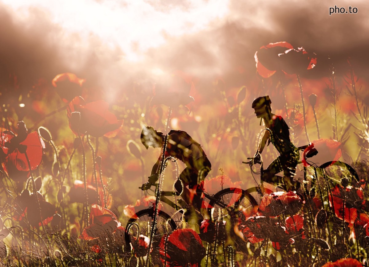 Merge Photos Online Free Free Video Joiner Merge Your Video Online