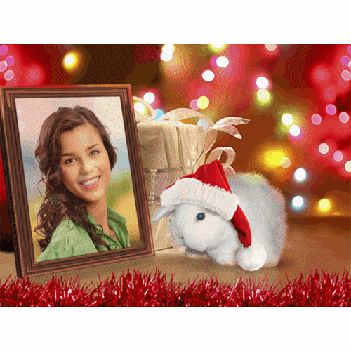 Create Christmas Card Online with 'Year of the Rabbit'