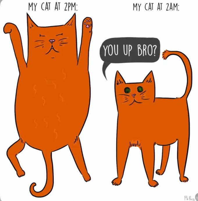Memes That Will Have Your Cat Rolling on the Floor Meowing — Funny Pictures