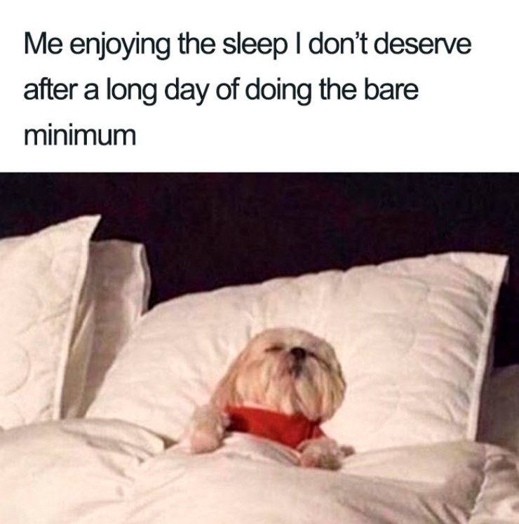 Always sleepy — Funny Pictures