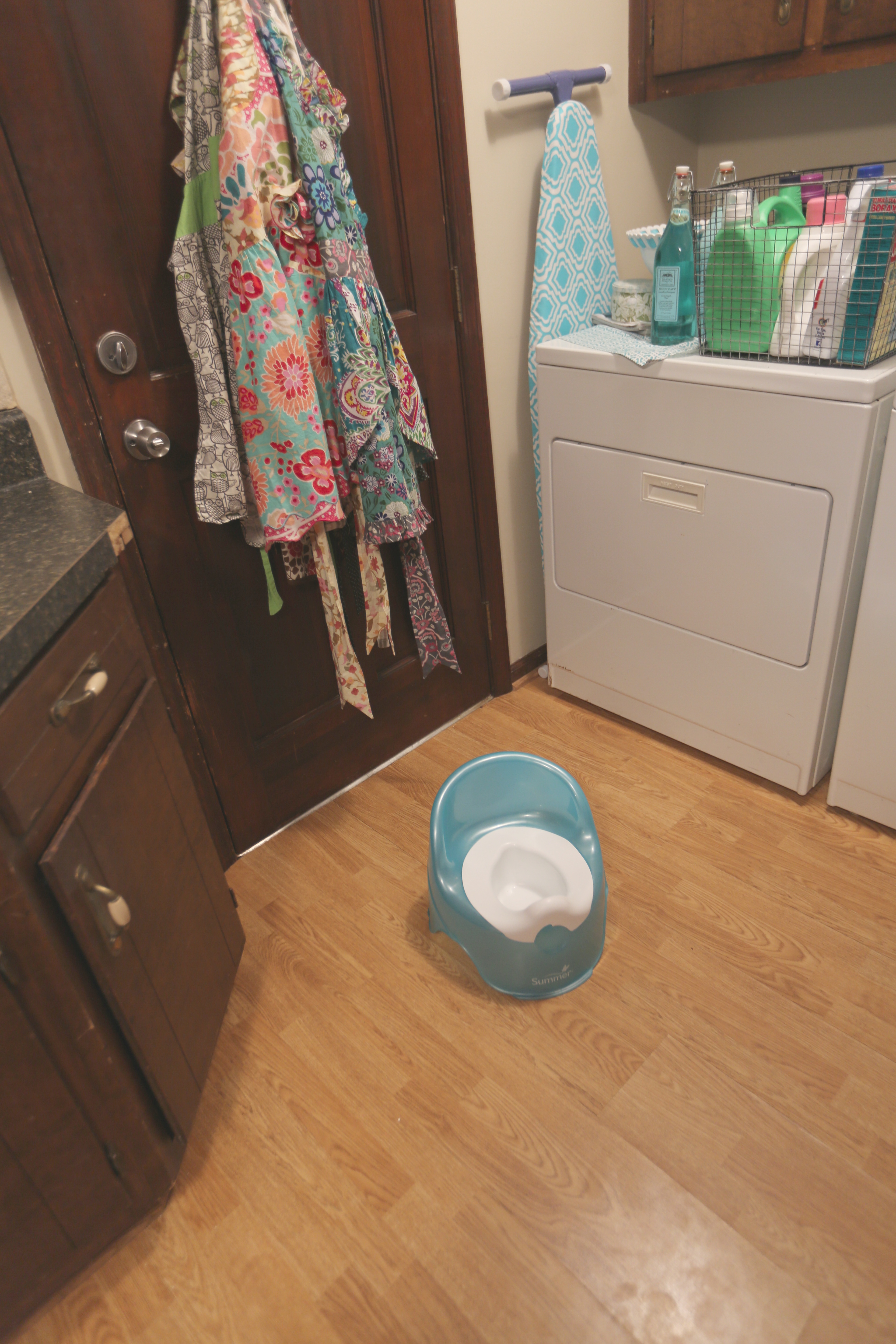 Potty Training Day Two My Life Smells Like Pee funny/beautiful