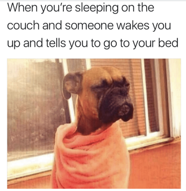 30 MEMES FOR TODAY 5 Funnyfoto Page 6