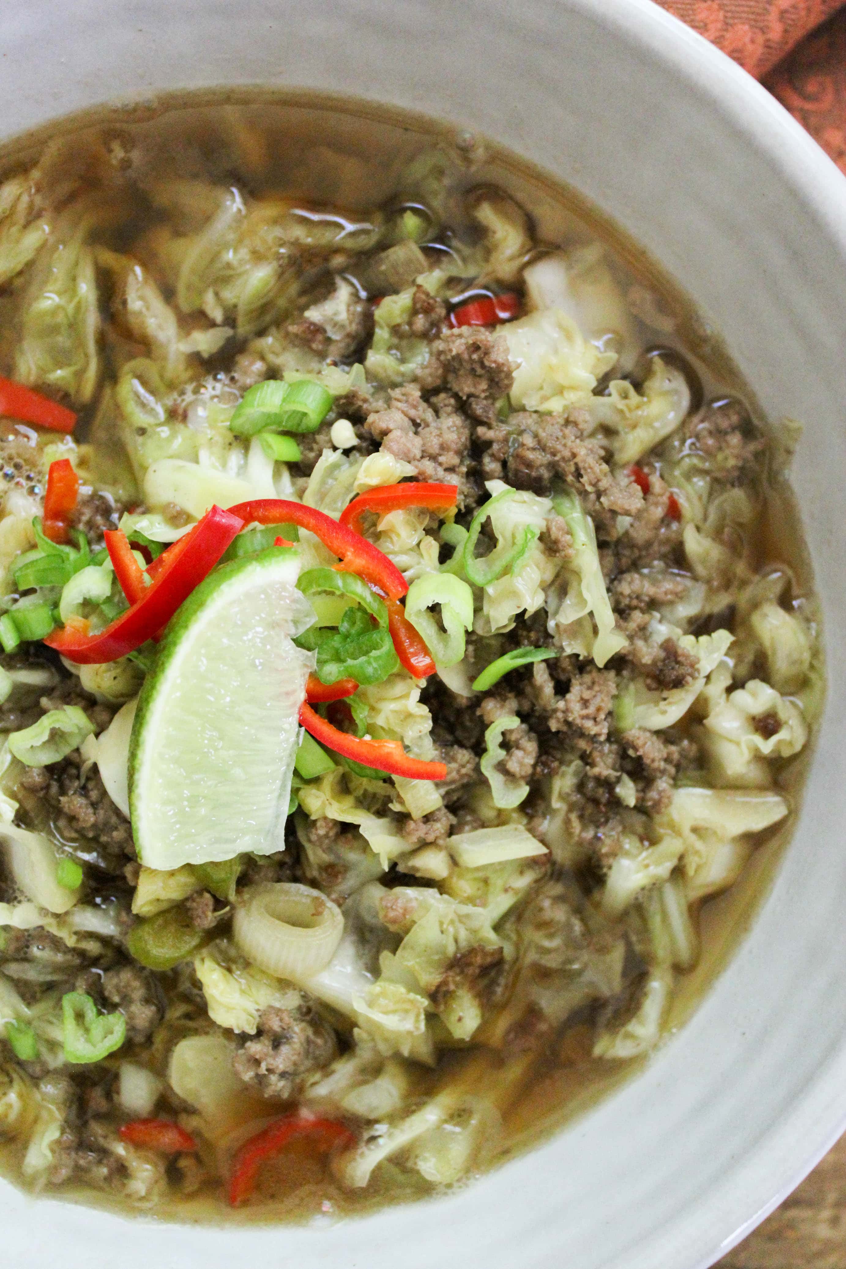 Low Carb Chinese Cabbage Beef Soup FunnyLove