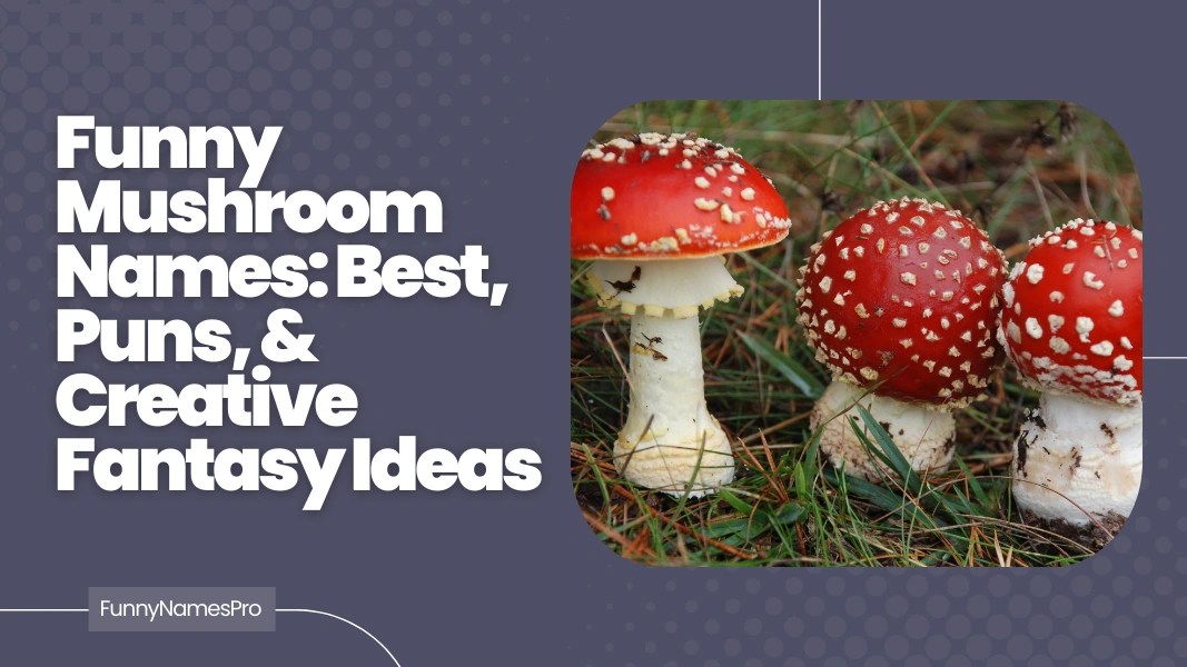 500+ Funny Mushroom Names Unique Nicknames For Girls & Females 2026