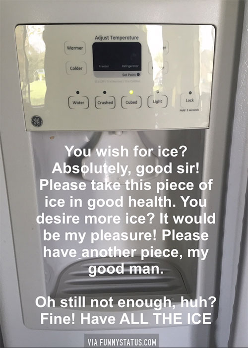 Ice Makers Funny Status