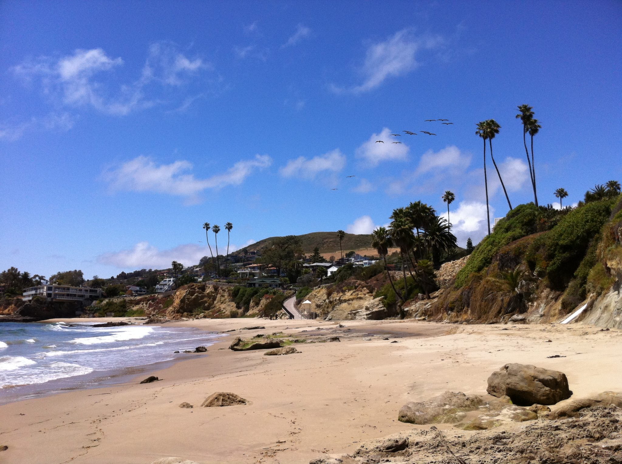 Picnic Beach in Laguna Beach for Sandcastle Building and Dolphin Spotting