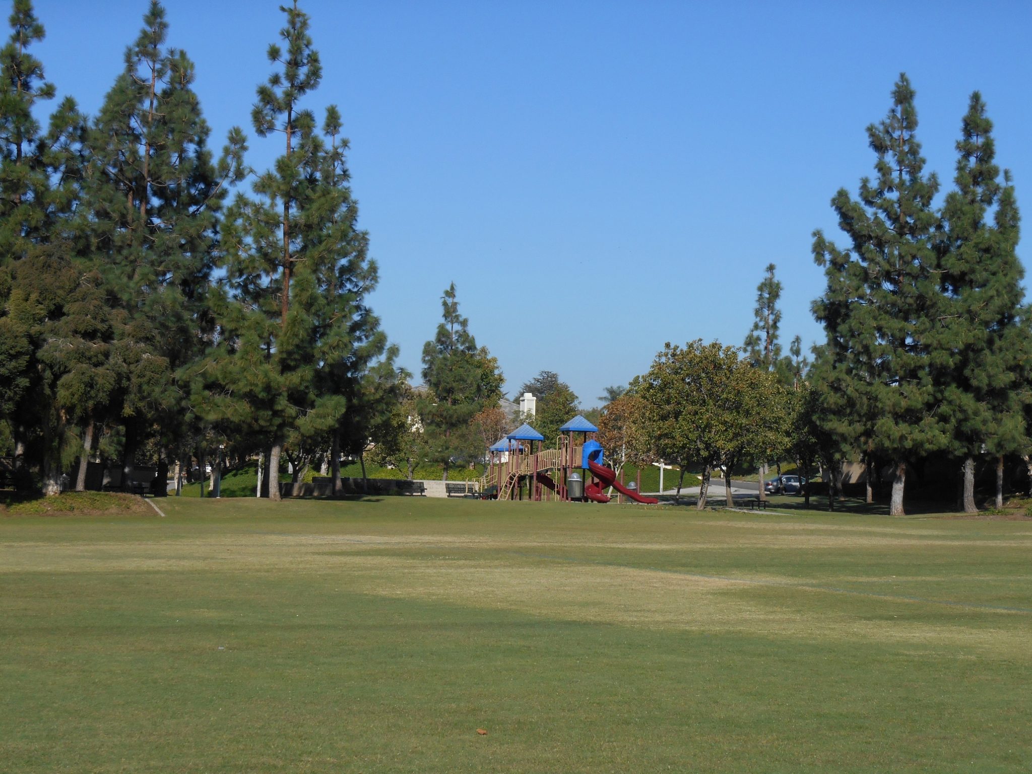 Jean Woodard Park in Yorba Linda Where Urban Nature Surrounds