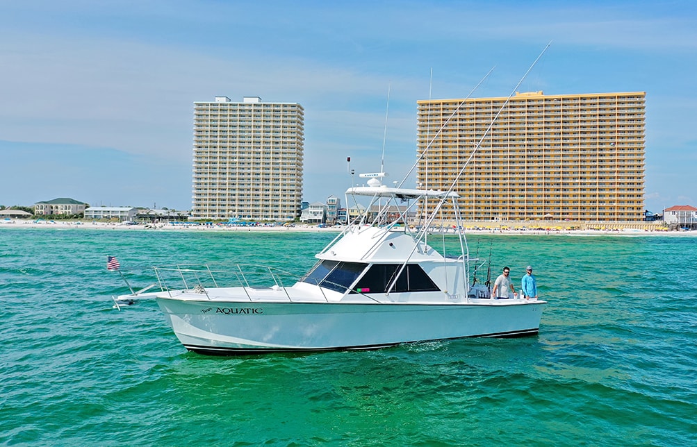 Things to Do in Panama City Beach Pontoons, Dolphins, and Parasailing