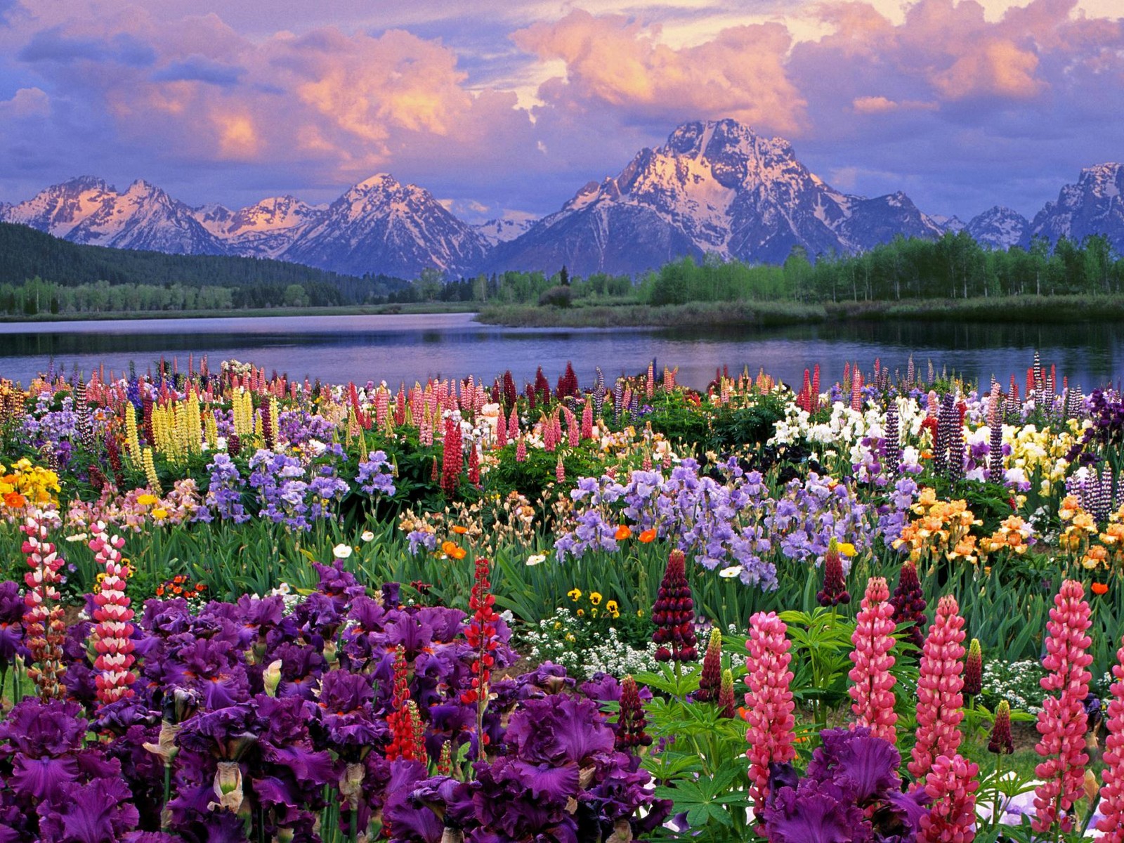 35 Beautiful Spring Pictures and Wallpapers
