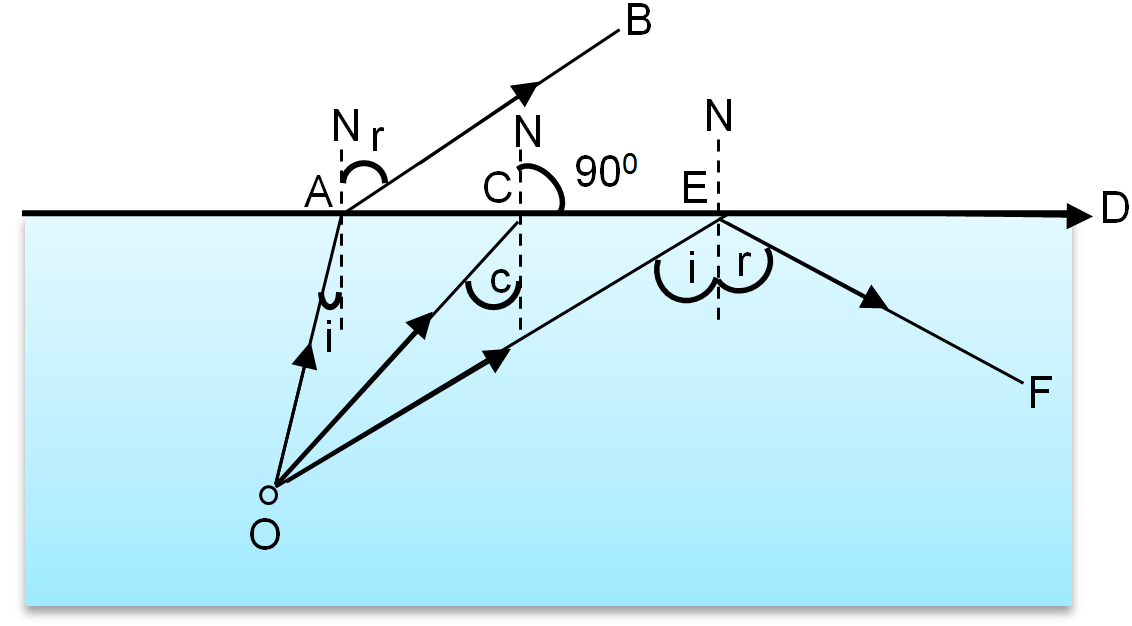 Total Internal Reflection Fun Science