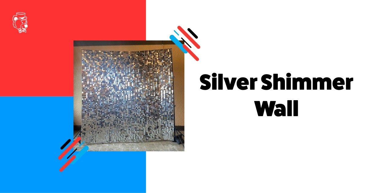 Elegance with Silver Shimmer Wall Fun Services