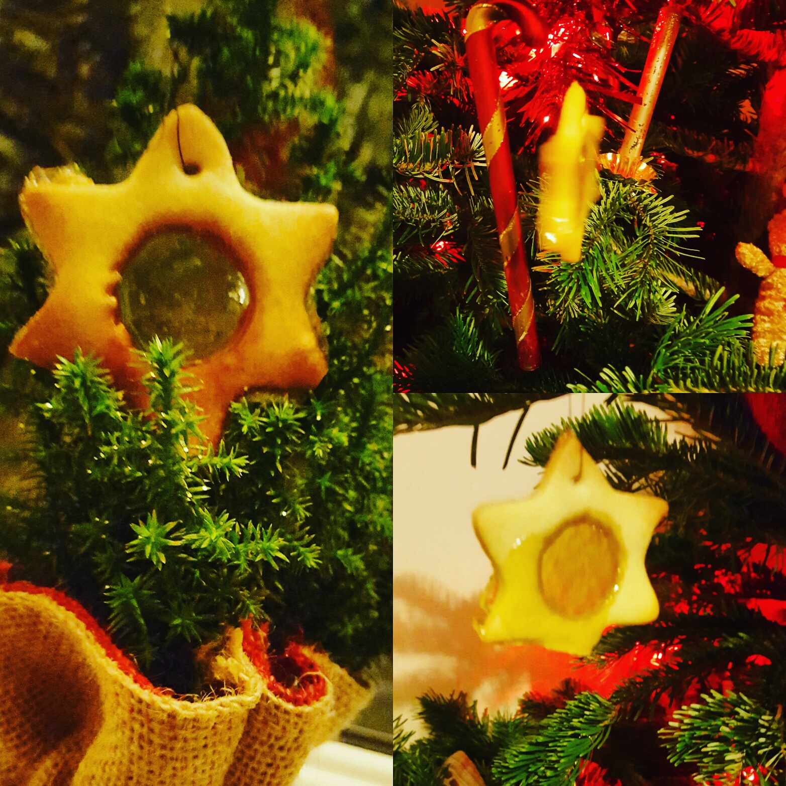 Edible tree decorations Emily's KITCHEN