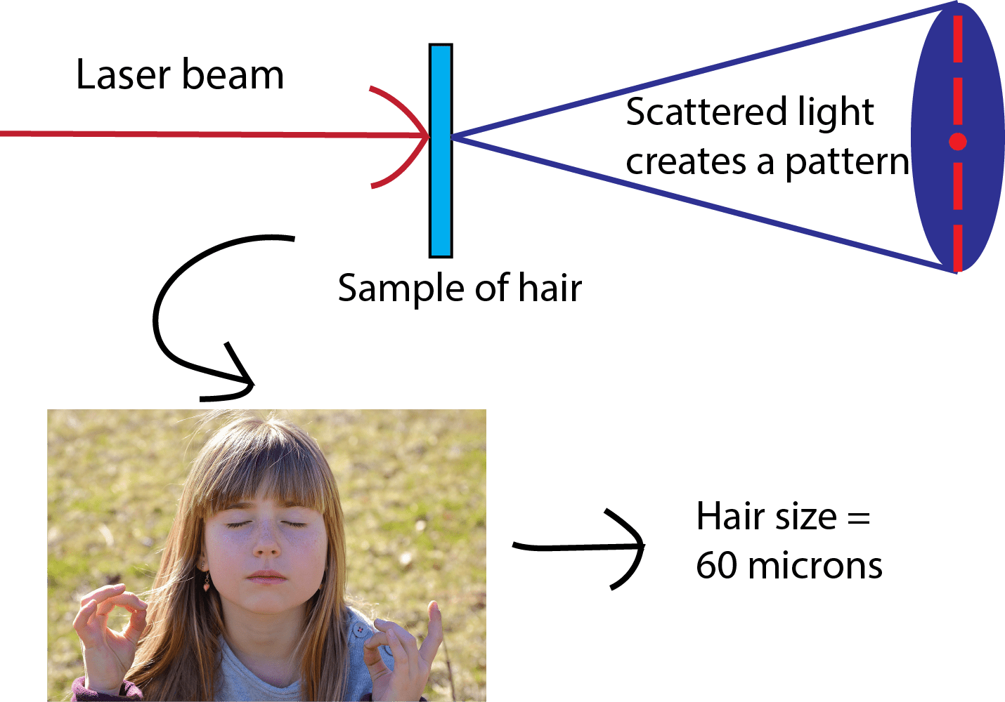 Top 160+ How to calculate hair thickness