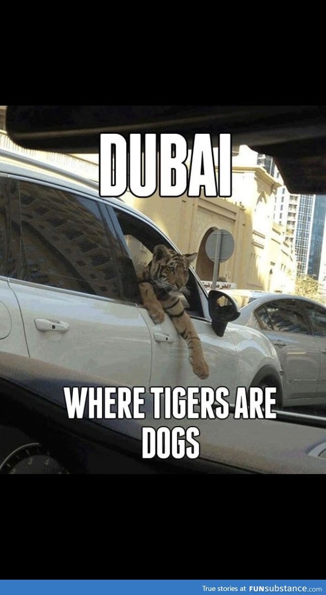 Meanwhile in Dubai FunSubstance