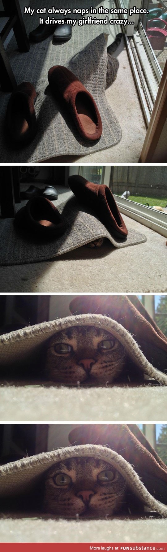 That's how you get stepped on, cat FunSubstance