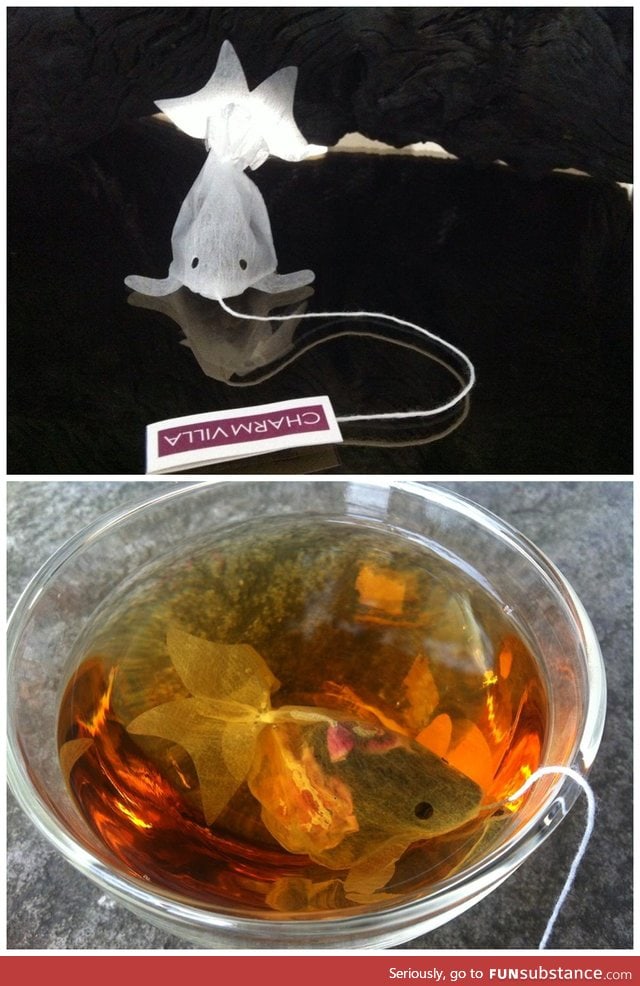Goldfish teabags FunSubstance