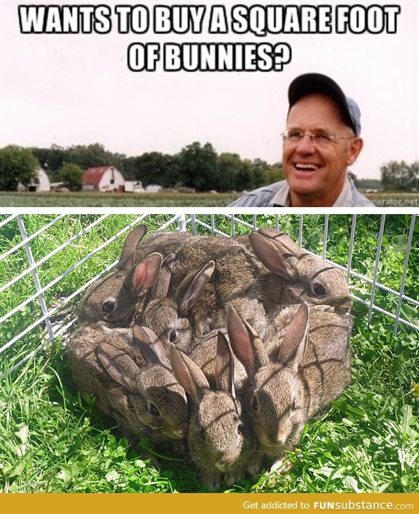 New way to buy bunnies FunSubstance