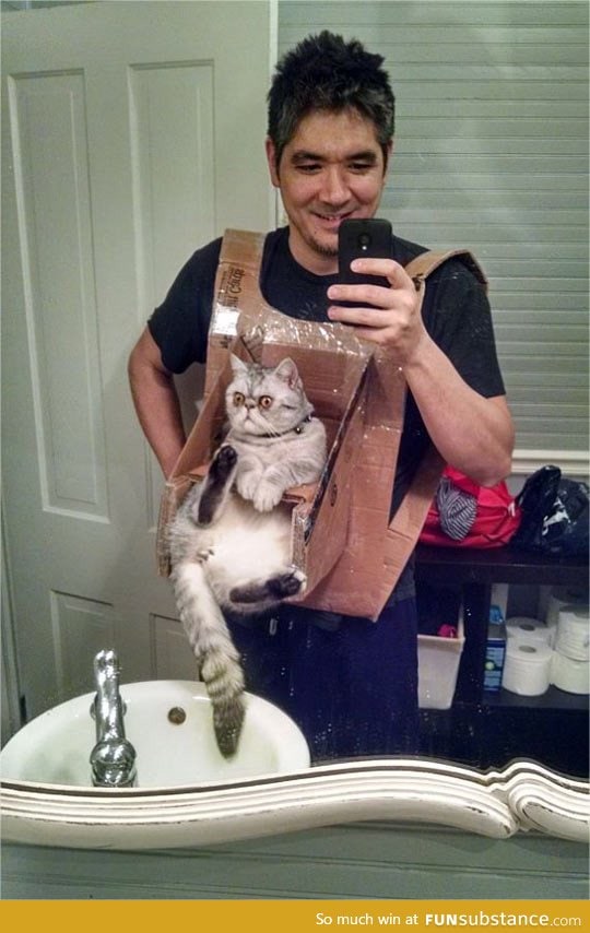 Cat chest harness FunSubstance