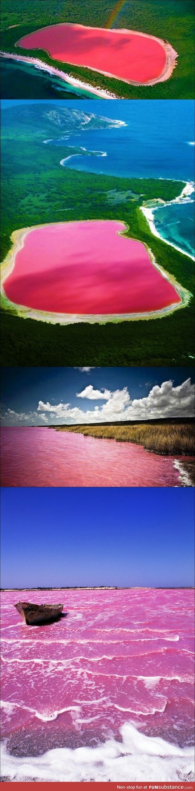 Lake Hillier, Australia. The only living organism in it, Dunaliella