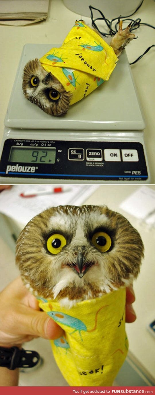 How to weigh an owl FunSubstance