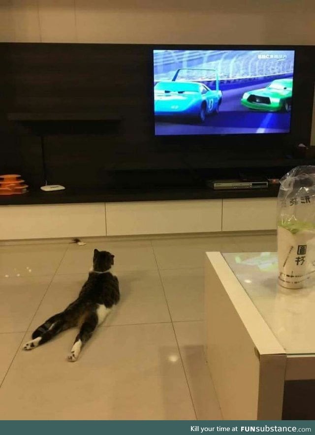 How this cat watches TV FunSubstance