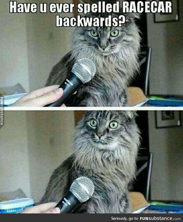 How do you spell racecar backwards FunSubstance