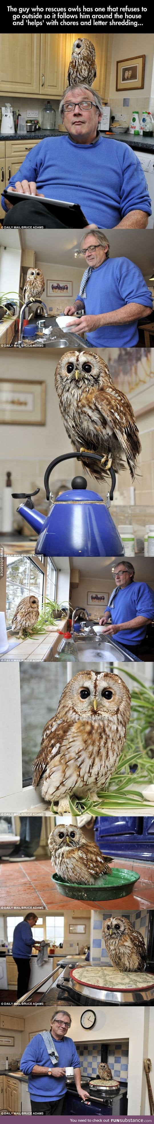 This guy is living in a disney movie FunSubstance