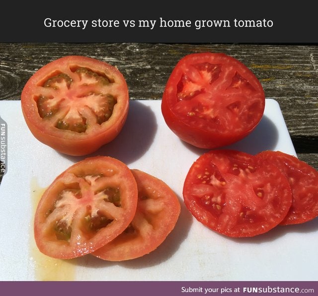 Cheap tomatoes FunSubstance