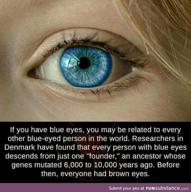 People with blue eyes share the same parent FunSubstance