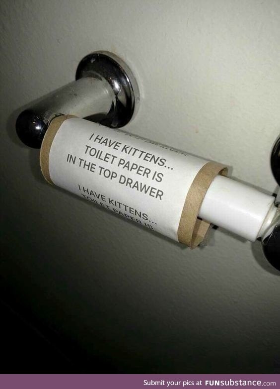 Kitten + toilet paper = mess FunSubstance