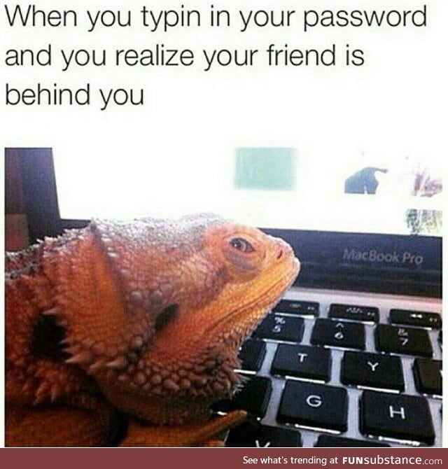 I love beardies FunSubstance