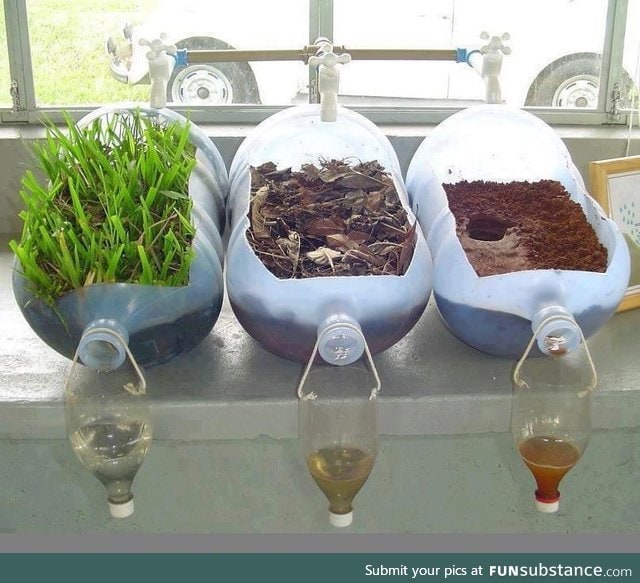 An example of how plants clean water FunSubstance